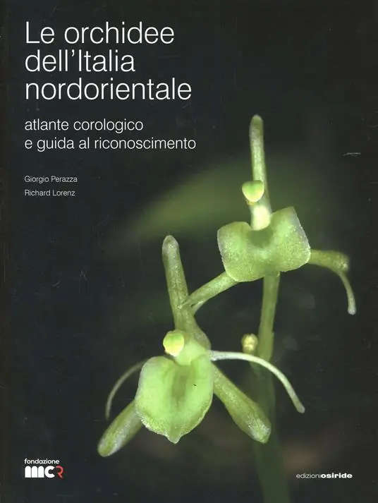 Novità Le orchidee dell‘Italia nordorientale. Atlante corologico e guida al riconoscimento