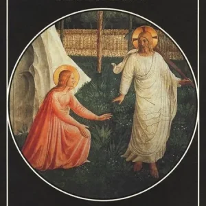 Beato Angelico. Figure del dissimile. Ediz. illustrata Quantità Limitata