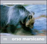 Spedito Oggi Orso marsicano. Apennine brown bear. The spirit of wood. Ediz. italiana e inglese