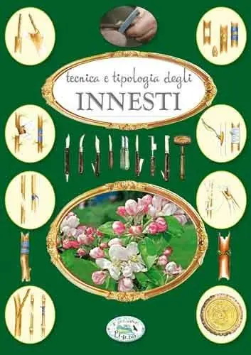 Innesti Compra Oggi Stesso