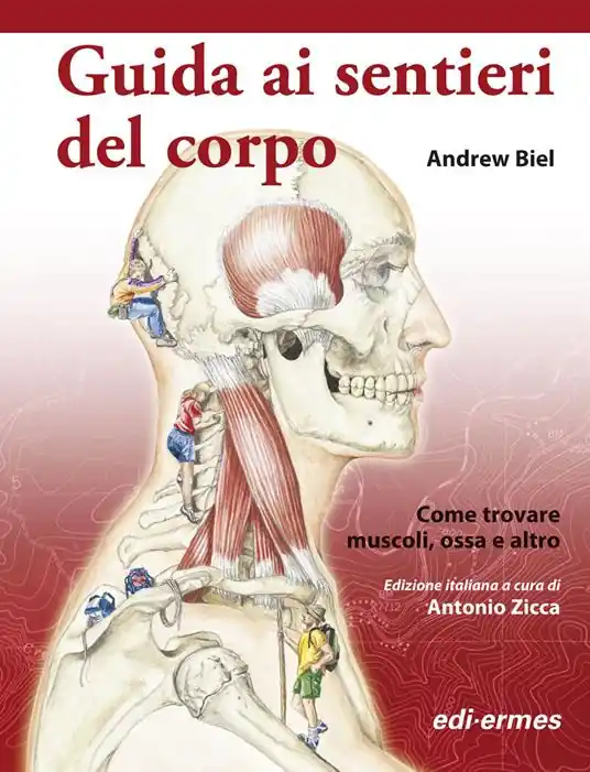 Sconto Guida ai sentieri del corpo. Come trovare muscoli, ossa e altro