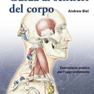 Guida ai sentieri del corpo. Manuale per studenti. Eserciziario pratico per l‘apprendimento Più Venduto