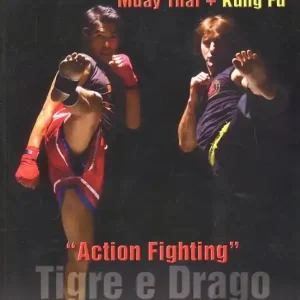 Nuova Collezione Action Fighting. Tigre e drago