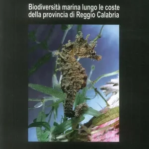 Biodiversità marina lungo le coste della provincia di reggio Calabria Affare