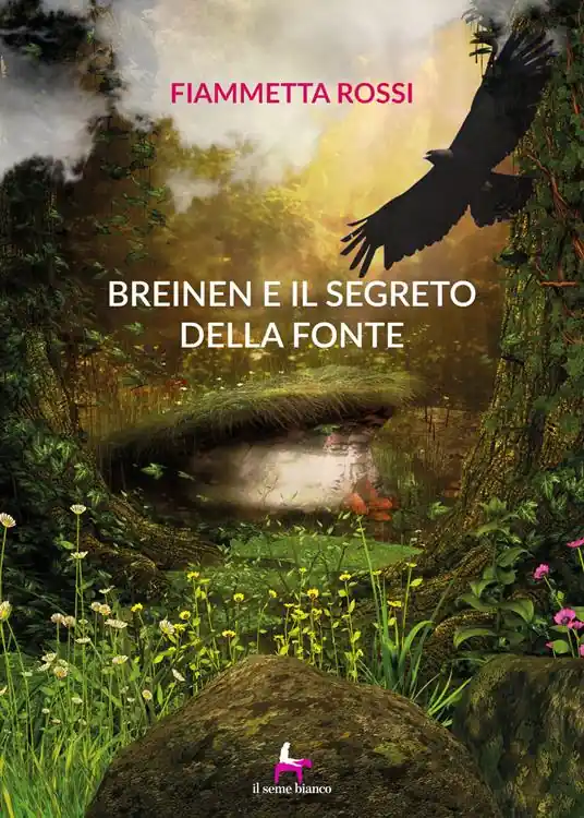 Breinen e il segreto della fonte Occasione