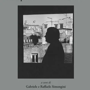 Spedizione Espresso Franco Simongini. L‘atto poetico di documentare l‘arte