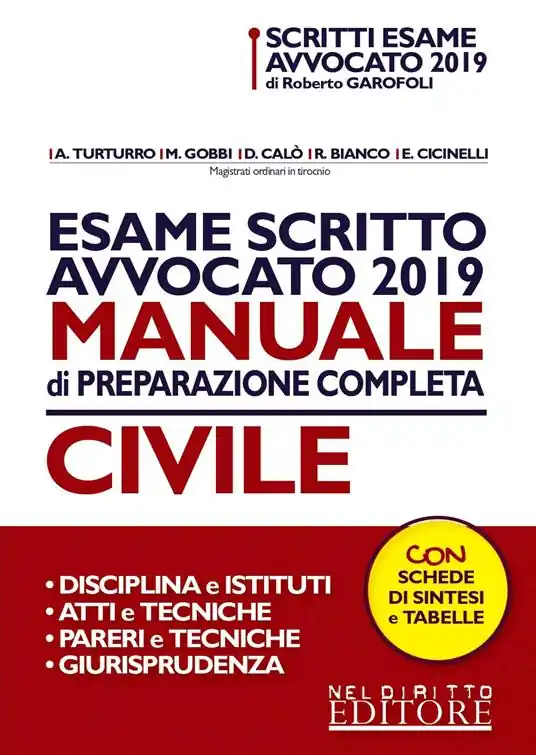 Esame scritto avvocato 2019. Manuale di preparazione completa civile Saldi