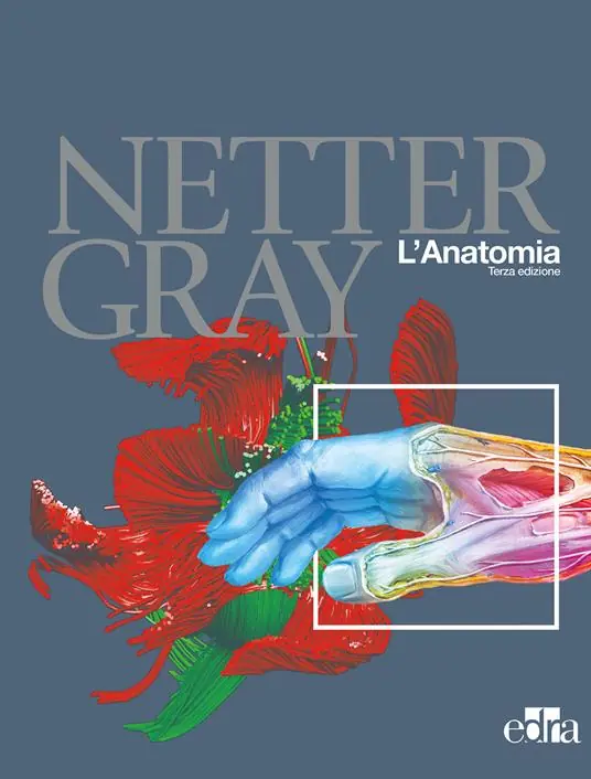 Di Tendenza Netter Gray. L‘anatomia Anatomia del Gray-Atlante di anatomia umana di Netter