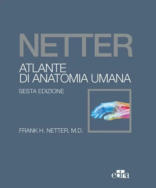 Spedizione Espresso Netter. Atlante di anatomia umana