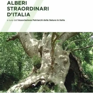 Super Prezzo Alberi straordinari d‘Italia. Ediz. a colori