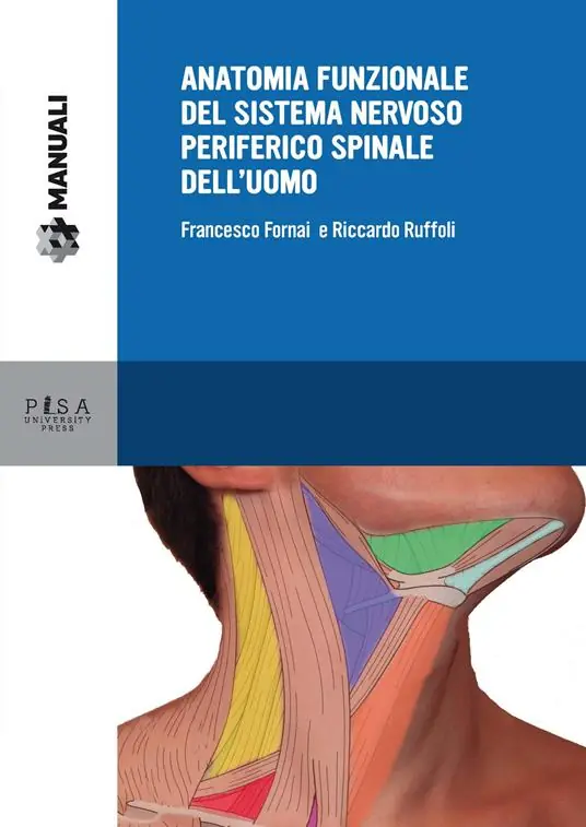 Anatomia funzionale del sistema nervoso periferico spinale dell‘uomo Prezzo Scontato