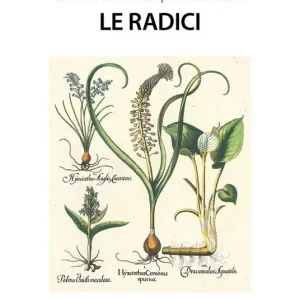 Ultimissimo Modello Le radici