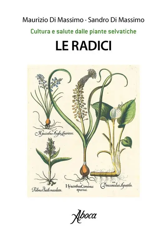 Ultimissimo Modello Le radici