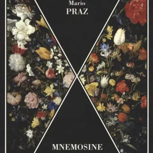 Mnemosine. Parallelo tra la letteratura e le arti visive Offerta Limitata