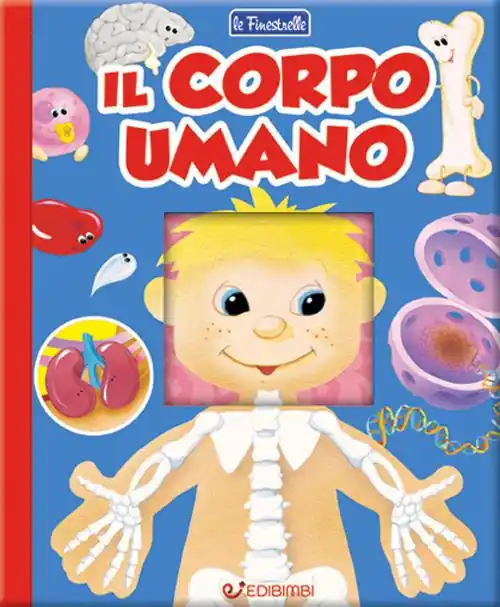 Ordina Subito Il corpo umano. Finestrelle. Ediz. a colori