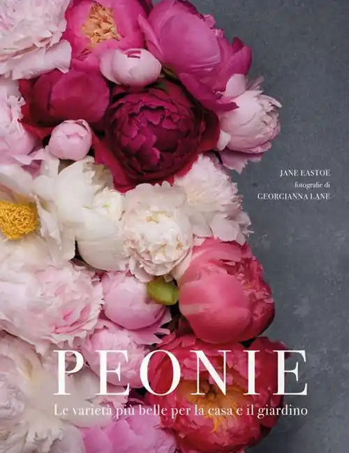 Esclusivo Peonie. Le varietà più belle per la casa e il giardino