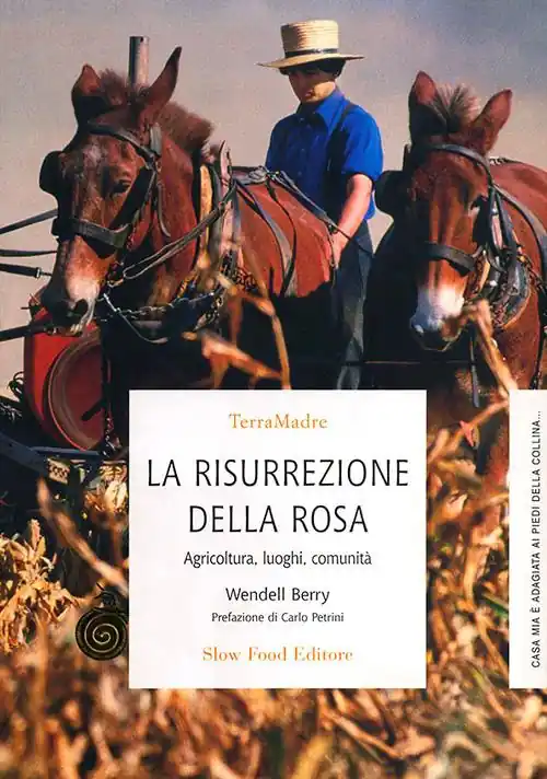 Miglior Prezzo La risurrezione della rosa. Agricoltura, luoghi, comunità