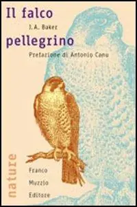 Prezzo Scontato Il falco pellegrino