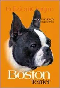 Boston Terrier Bestseller