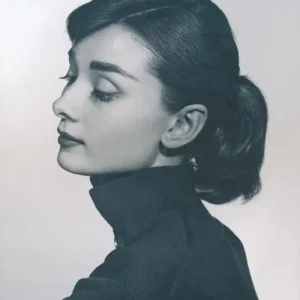 Offerta Speciale Stern Portfolio. Ediz. inglese e tedesca. Vol. 71 Yousuf Karsh