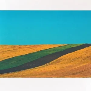 Popolare Skyline. Ediz. illustrata