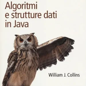 Algoritmi e strutture dati in Java Acquista Ora