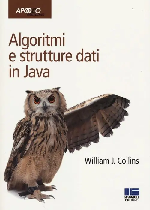 Algoritmi e strutture dati in Java Acquista Ora