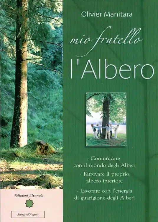 Mio fratello l‘albero Prezzo Scontato