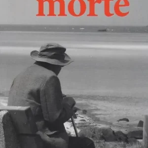 Il fiume della morte. Le indagini di Mary Lester, ispettore di polizia in Bretagna. Vol. 15 Occasione Imperdibile