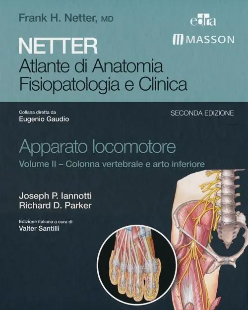 Netter. Atlante di anatomia. Fisiopatologia e clinica. Apparato locomotore. Ediz. illustrata. Vol. 2 Colonna vertebrale e arto inferiore Prezzo Basso