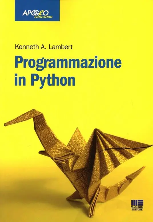 Bestseller Programmazione in Python