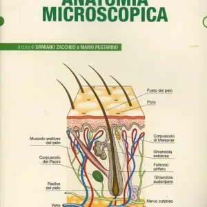 Anatomia microscopica Solo Oggi