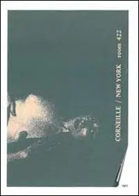 Promozione Esclusiva New York room 442. Specimen dell‘opera originale. Ediz. illustrata. Con DVD