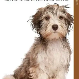 Vendita Finale Capire il cane per farsi capire. Manuale di comportamento per umani