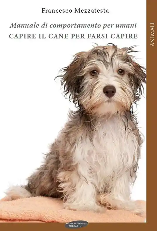 Vendita Finale Capire il cane per farsi capire. Manuale di comportamento per umani