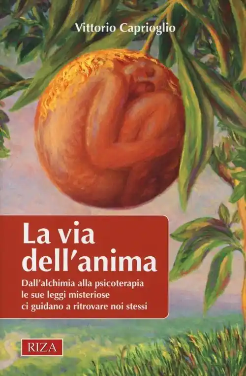 Prezzo Conveniente La via dell‘anima. Dall‘alchimia alla psicoterapia le sue leggi misteriose ci guidano a ritrovare noi stessi
