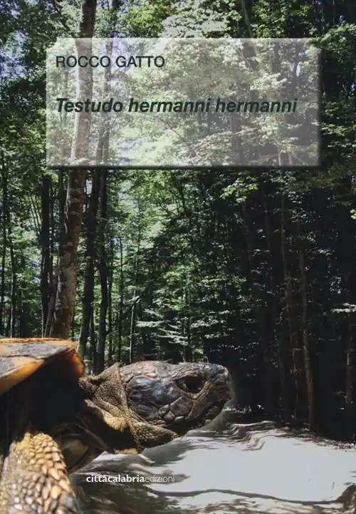 Promo Stagionale Testudo Hermanni Hermanni