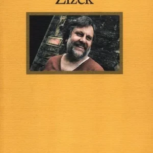 Introduzione a Zizek Prezzo Di Fabbrica