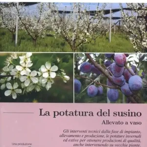 Miglior Prezzo Il frutteto. La potatura del susino allevato a vaso. Piccola guida pratica. Con DVD