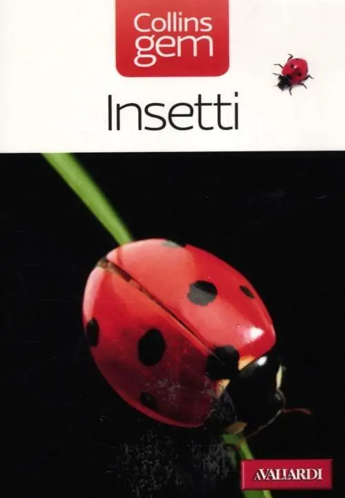 Bestseller Insetti