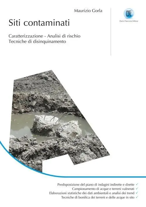 Siti contaminati. Caratterizzazione. Analisi di rischio. Tecniche di disinquinamento. Ediz. illustrata Sconto