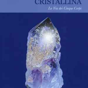 Illuminazione cristallina. La via dei cinque corpi Prezzo Di Fabbrica