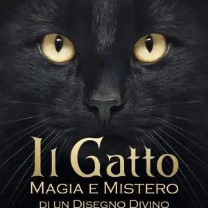 Il gatto. Magia e mistero di un disegno divino Direttamente Dal Produttore