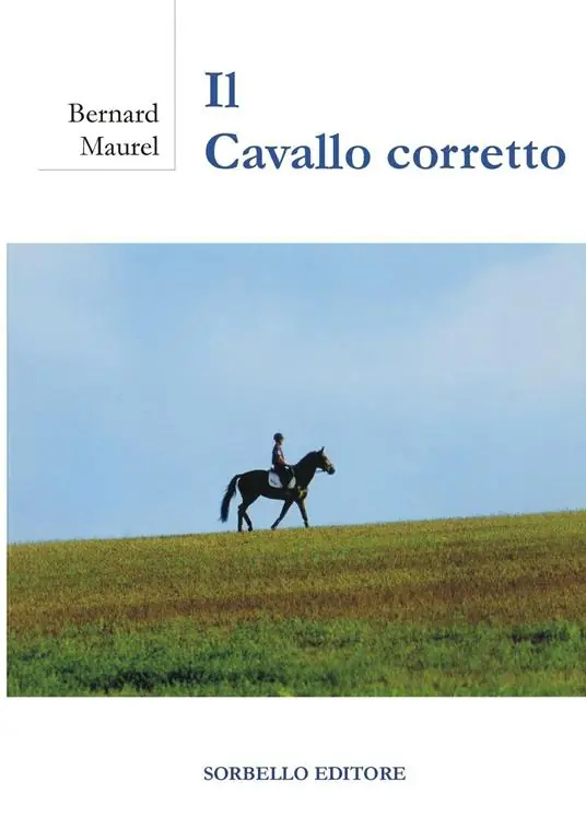 Il cavallo corretto Consegna Rapida