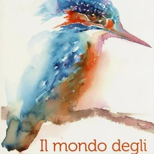 Il mondo degli acquarelli. Ediz. illustrata Affare