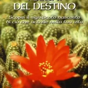 I segni del destino. Scopri il significato nascosto di ciò che accade nella tua vita Più Venduto