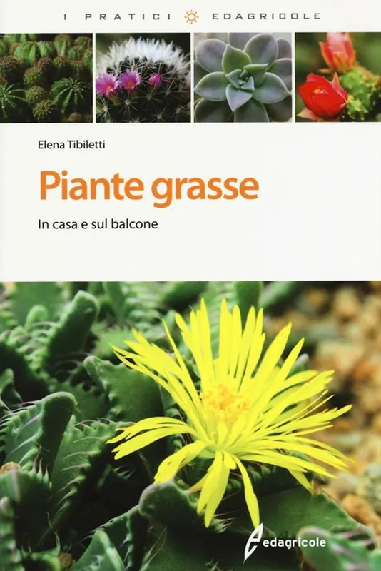 Miglior Prezzo Piante grasse. In casa e sul balcone. Ediz. illustrata