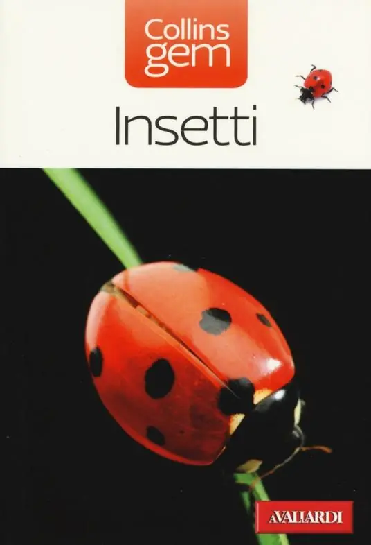 Popolare Insetti