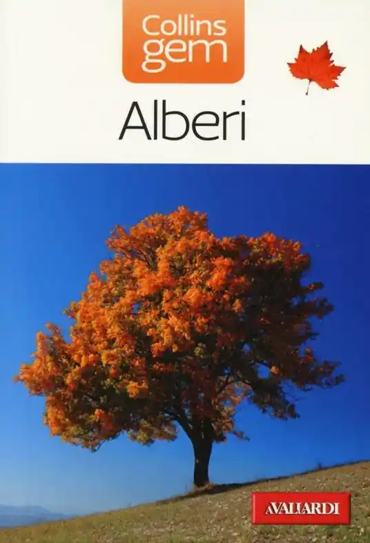 Economico Alberi