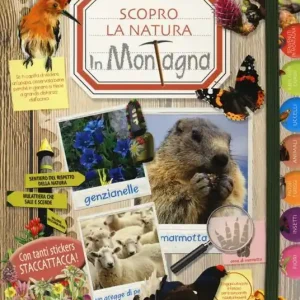 In montagna. Scopro la natura. Con adesivi. Ediz. illustrata Occasione